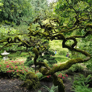 Meet your Posher, Vu